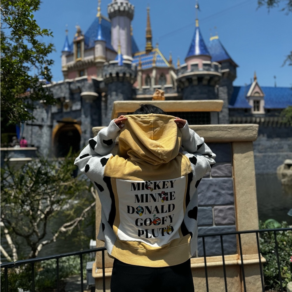 Micky Mouse and friends reworked champion yellow hoodie and heart sweatshirt
